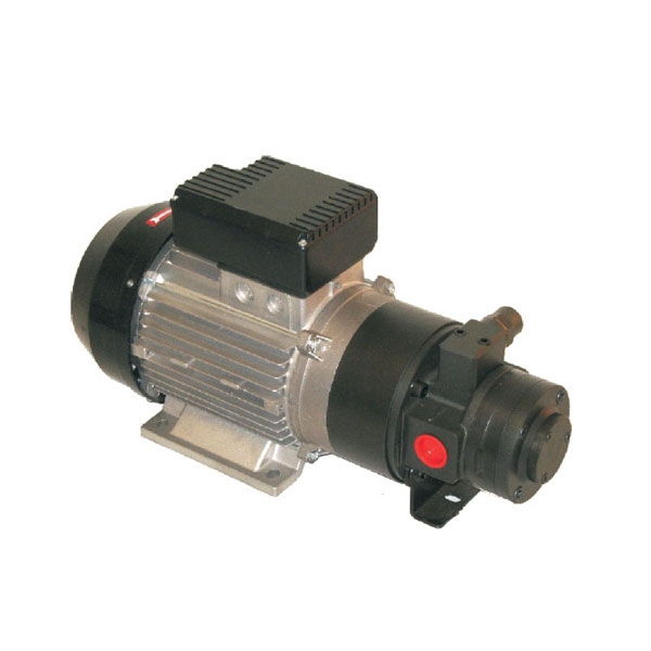 Elektrische Hochleistungs - Pumpe 110V - 33 l/min.